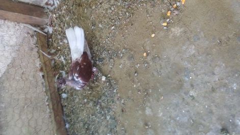 20170719_114656.jpg