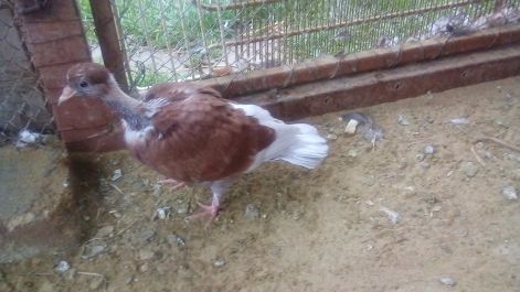 20171029_082147.jpg