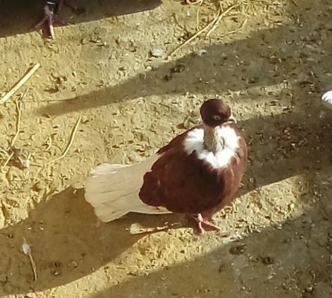 20171127_103134.jpg