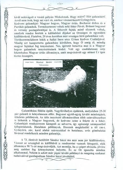 c10.jpg