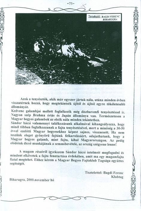 c11.jpg