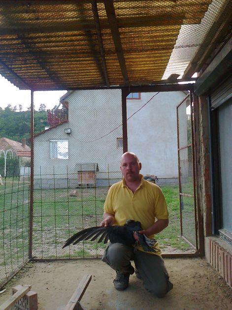 mb_63_fiatal_mb_hatalmas_szarnyfesztava.jpg