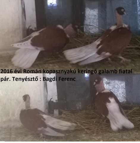 rk2.jpg