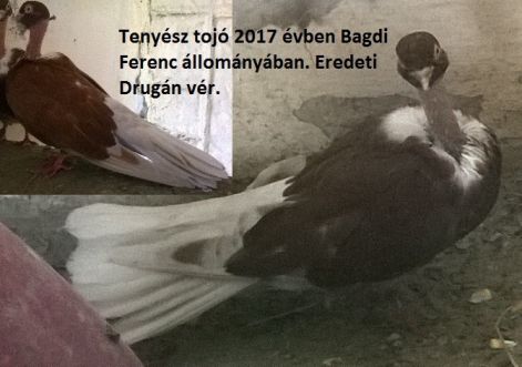 rk20.jpg