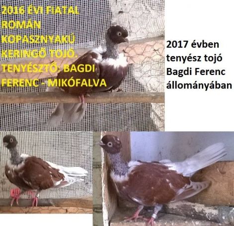 rk25.jpg