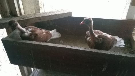 wp_20160601_004.jpg