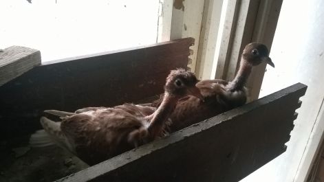 wp_20160601_016.jpg