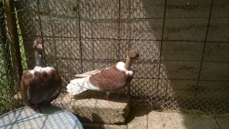 wp_20160601_118.jpg